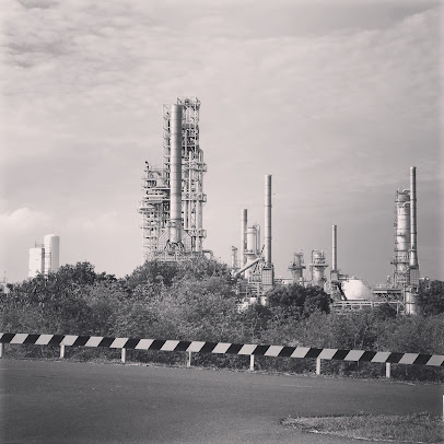 TRANS PASIFIC PETROCHEMICAL INDOTAMA